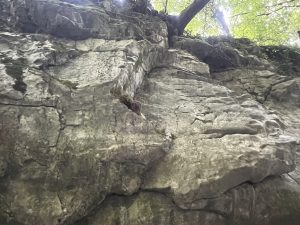 OpenClaw пуска официално огледало в Китай с инфраструктурна поддръжка от ByteDance · TechNode