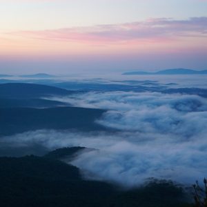 A споделя в ранен галоп на нови технологии