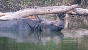 Тийнейджър осъден на доживотен затвор за изнасилване и убийство на съученик