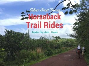 Юнан въвежда мерки за напредък в кампуса на футбола и икономиката на събитията