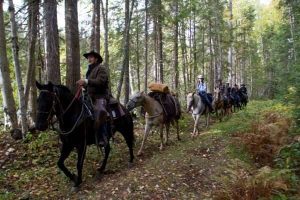 Baidu Smart Cloud подписва сделка с Bear Electric Appliance