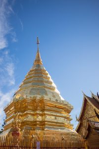 Китайски учени идентифицират основната патологична мозъчна мрежа, която е в основата на болестта на Паркинсон