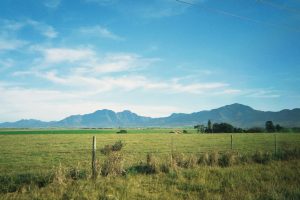 Финансовата активност на Китай набира скорост, докато растежът на M1 се ускорява