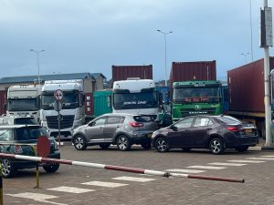 Китайските учени разкриват механизъм за използване на светлината на основните видове морски водорасли