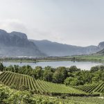 Epic Wine Adventures in Alto Adige