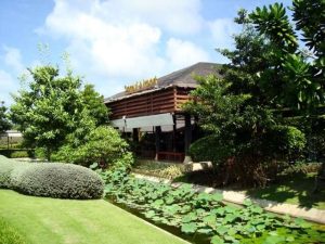 FIMI пуска дрон Mini 3 с 48MP сензор на Sony и тегло 249g · TechNode