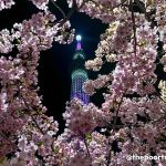 Top 15 Usual Tourist MISTAKES in JAPAN