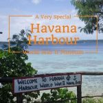 A Dedicated WWII Museum | Luganville, Vanuatu {Photos}