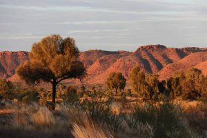 14 Epic Things To Do In The Northern Territory, Australia