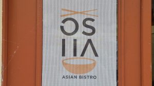 Osha in Ljubljana – Dr Jam Travels