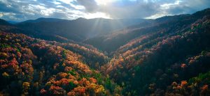 Nature versus Nurture: Are We Drawn to the Outdoors or Do We Choose It?