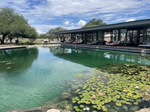 A Weekend Escape at Our Habitas San Miguel de Allende, Mexico – Wild Junket