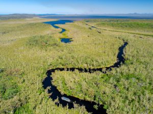 A Complete Guide To The Noosa Everglades: The River Of Mirrors