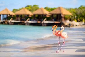 This Is The Safest Destination In The Caribbean According To New Report