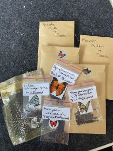 Digital Artisans – Hi, I’m Anna