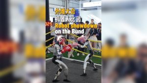Robot Showdown на Bund