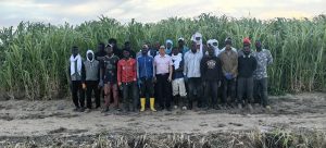 Воден от Китай животновъден проект в Мавритания печели награда за намаляване на бедността