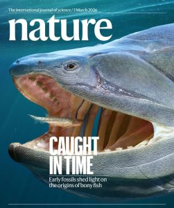 Най-старият фосил на съчленена костна риба в света, открит в Чунцин