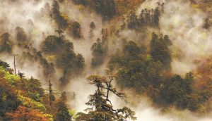 Пеене през каньона – Chinadaily.com.cn