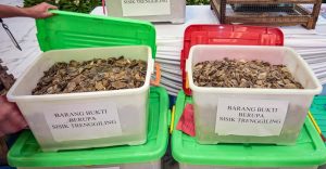 Природозащитници приветстват ареста на виетнамски контрабандисти на люспи от панголин при теглене на 900 кг