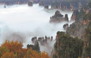 Развитие в своя пик – Chinadaily.com.cn